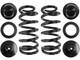 49dk22d Rear Air Spring To Coil Spring Conversion Kit Fits Mercedes E320