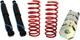 Dorman 949-592 Air Spring To Coil Spring Conversion Kit Fits 2002 Lincoln Contin