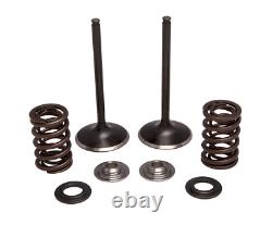 Exhaust Steel Valve & Spring Conversion Kit Fits Husaberg FE250 2013