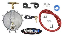 Low pressure Propane Natural Conversion Kit Generator Fits Generac GP6700EDF