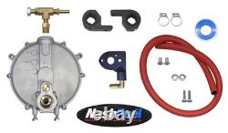 Low pressure Propane Natural Conversion Kit Generator Fits Ryobi RYI2300BTA